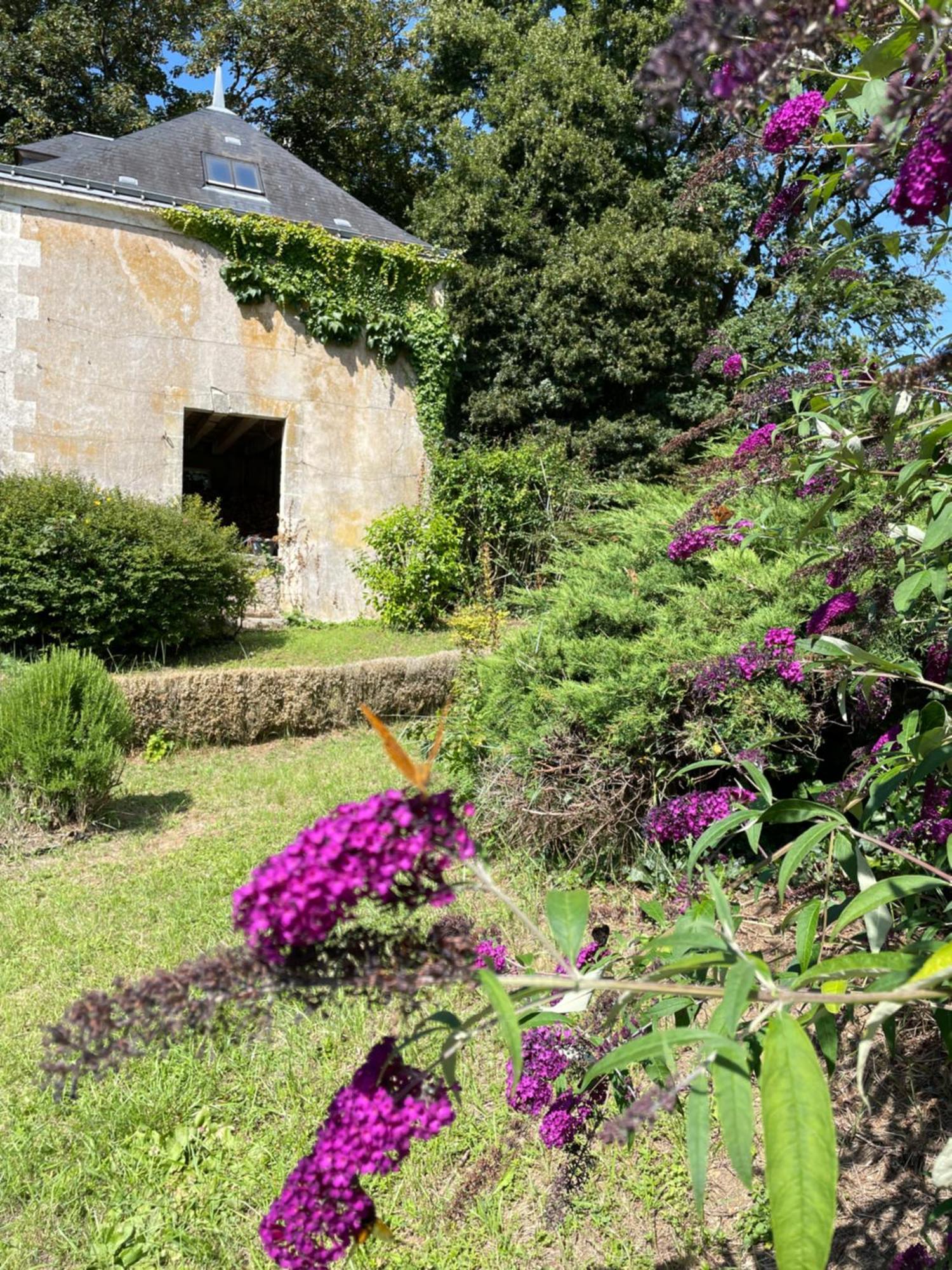 Chateau De La Huberdiere Nazelles-Negron Exterior foto